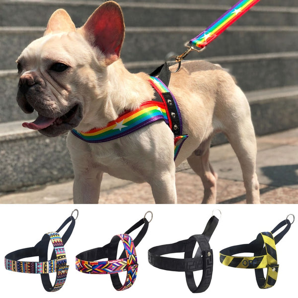 Rad Dog Harness and Leash - Patpals