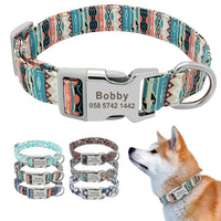 Rex's Own Pet Collar - Patpals