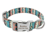 Rex's Own Pet Collar - Patpals