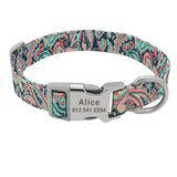 Rex's Own Pet Collar - Patpals