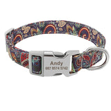 Rex's Own Pet Collar - Patpals