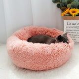 Russian Hat Cat Cuddle Bed - Patpals