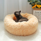 Russian Hat Cat Cuddle Bed - Patpals